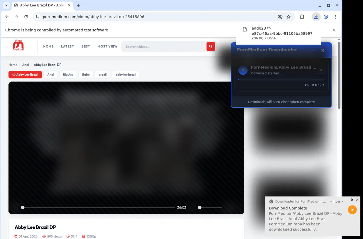 Pornmedium Video Downloader screenshot 2