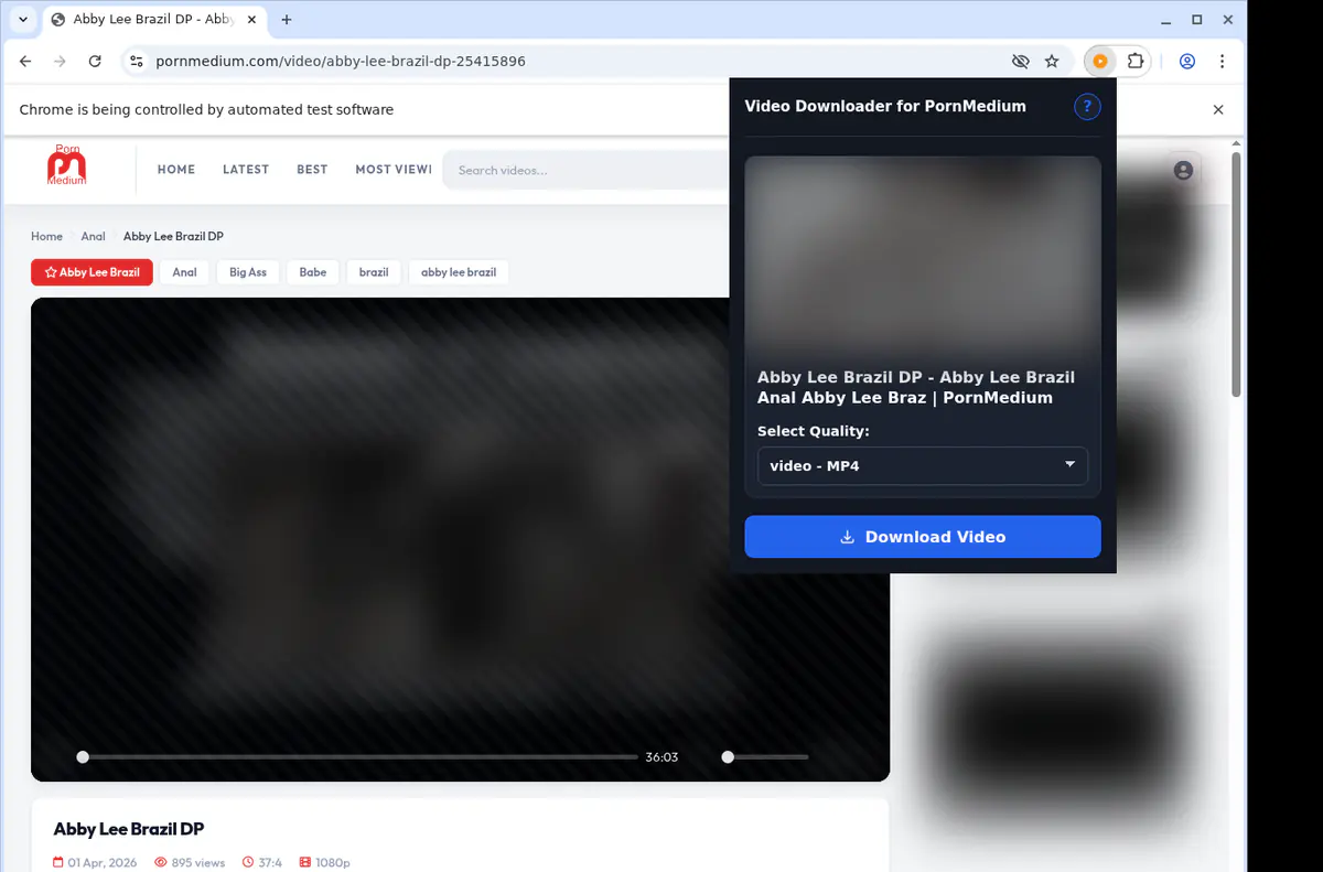 Pornmedium Video Downloader screenshot 3